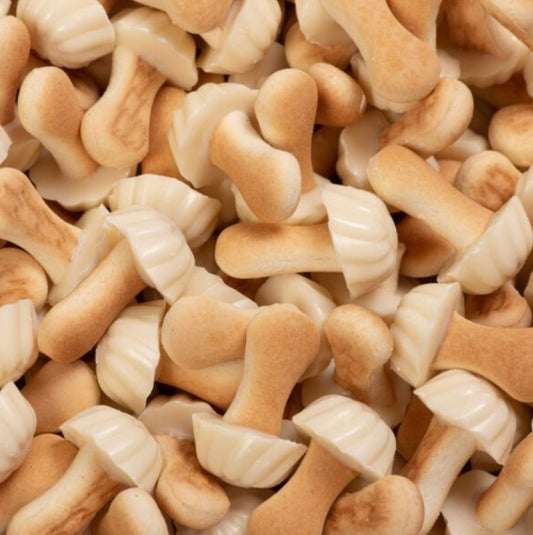 Champignons biscuit au chocolat Blanc ( lot de 10)