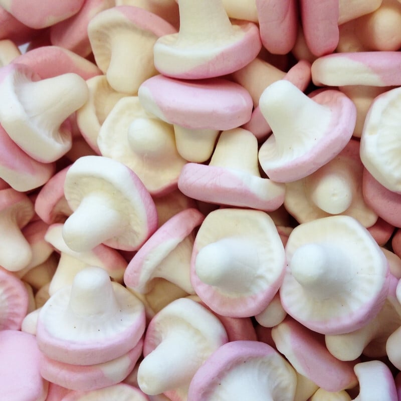 Champignons lisse / 100g (NEW)