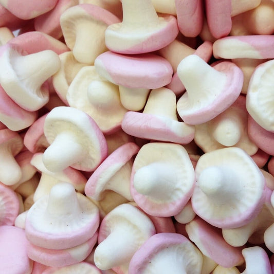 Champignons lisse / 100g (NEW)